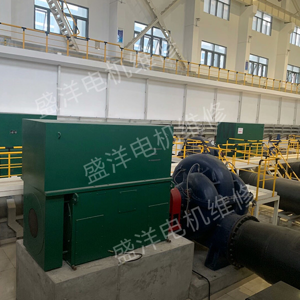 南通大型电机修理公司